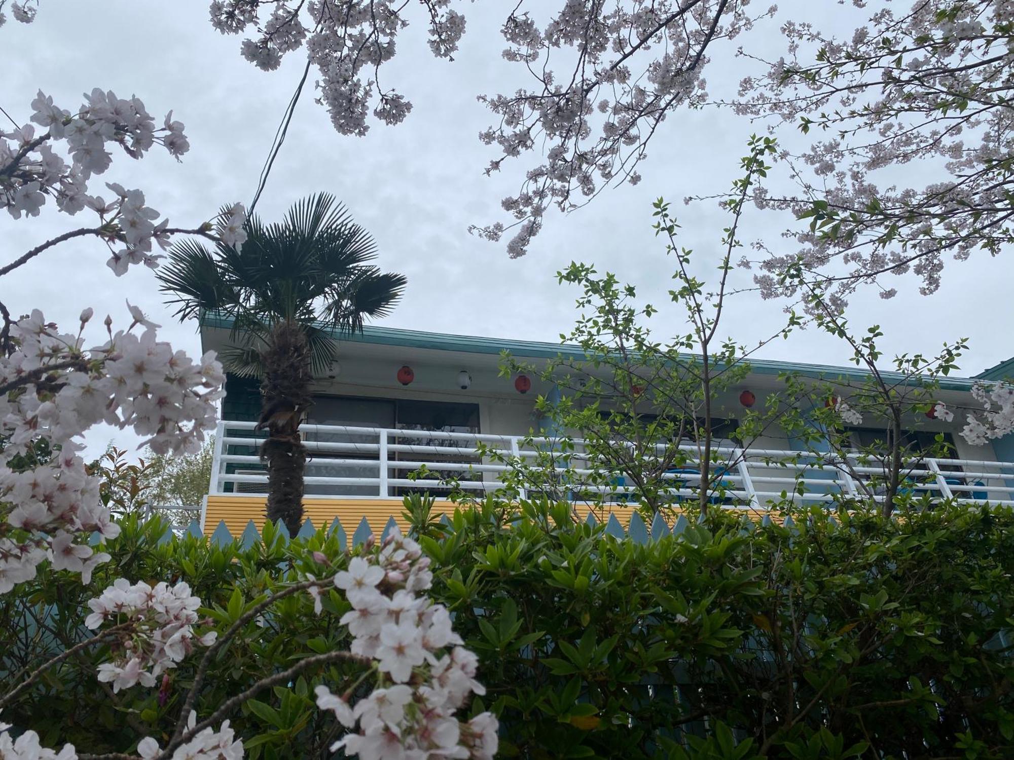 Hanamizuki Onsen Resort Ито Екстериор снимка